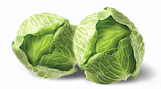 Early cabbage - Candisa