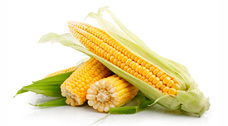 Supersweet Corn - Dessert 75