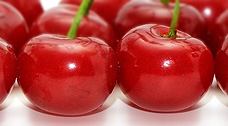 Sour cherry - Érdi Bőtermő