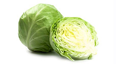 Early cabbage - Kevin