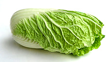 Chinese cabbage - manoko