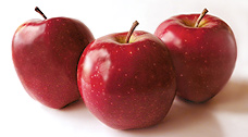 Apfel Red Chief