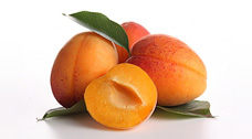 Foreign apricot varieties