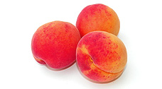 Aprikose - Ungarn sorten