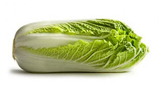 Chinese cabbage - sumiko