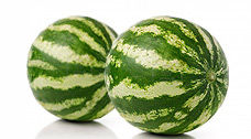 Wassermelone - Susy F1