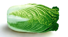 Chinese cabbage - yuki