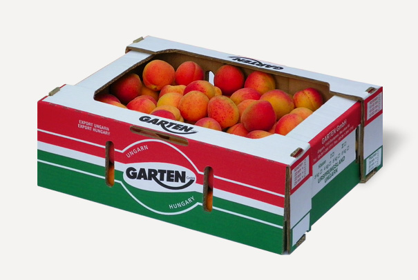 Apricot export