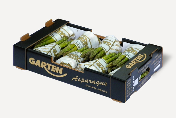 Asparagus green export